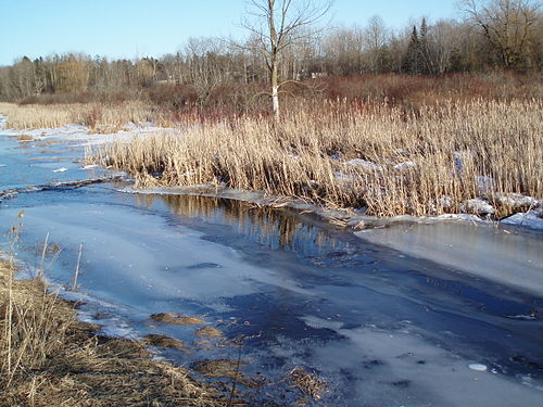 Oak Ridges, Ontario